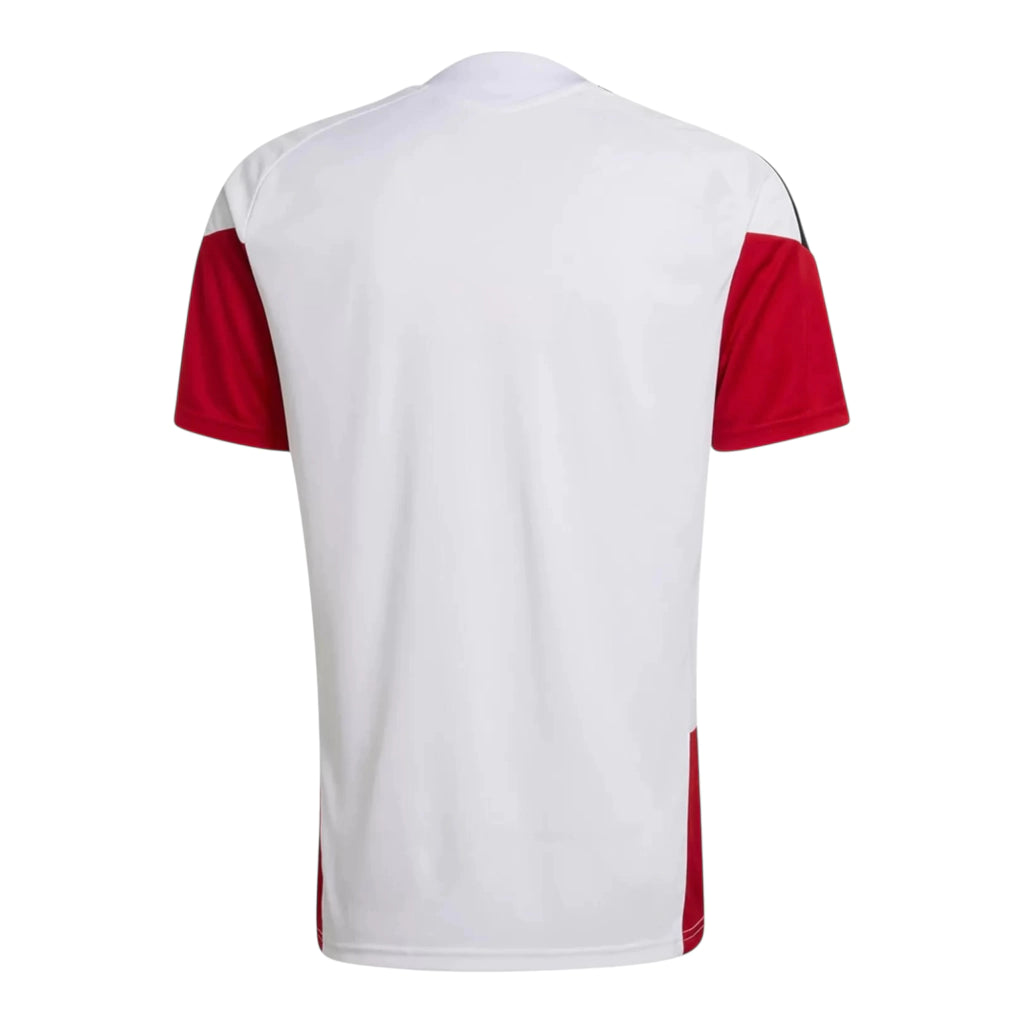 Camiseta de entrenamiento de la Selección Nacional de Alemania para hombre, color blanco - 26/27