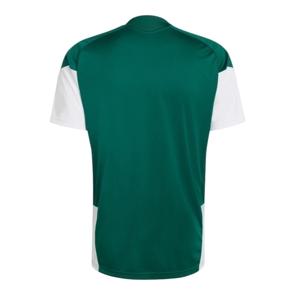 Man's Jersey Italy National Team Training Green - 26/27