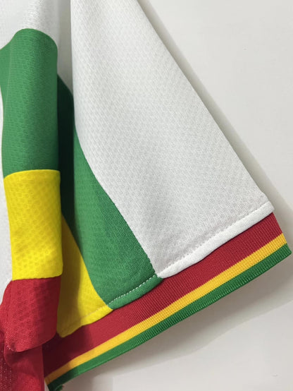 Camiseta Retro Hombre Selección Nacional de Senegal - 2002