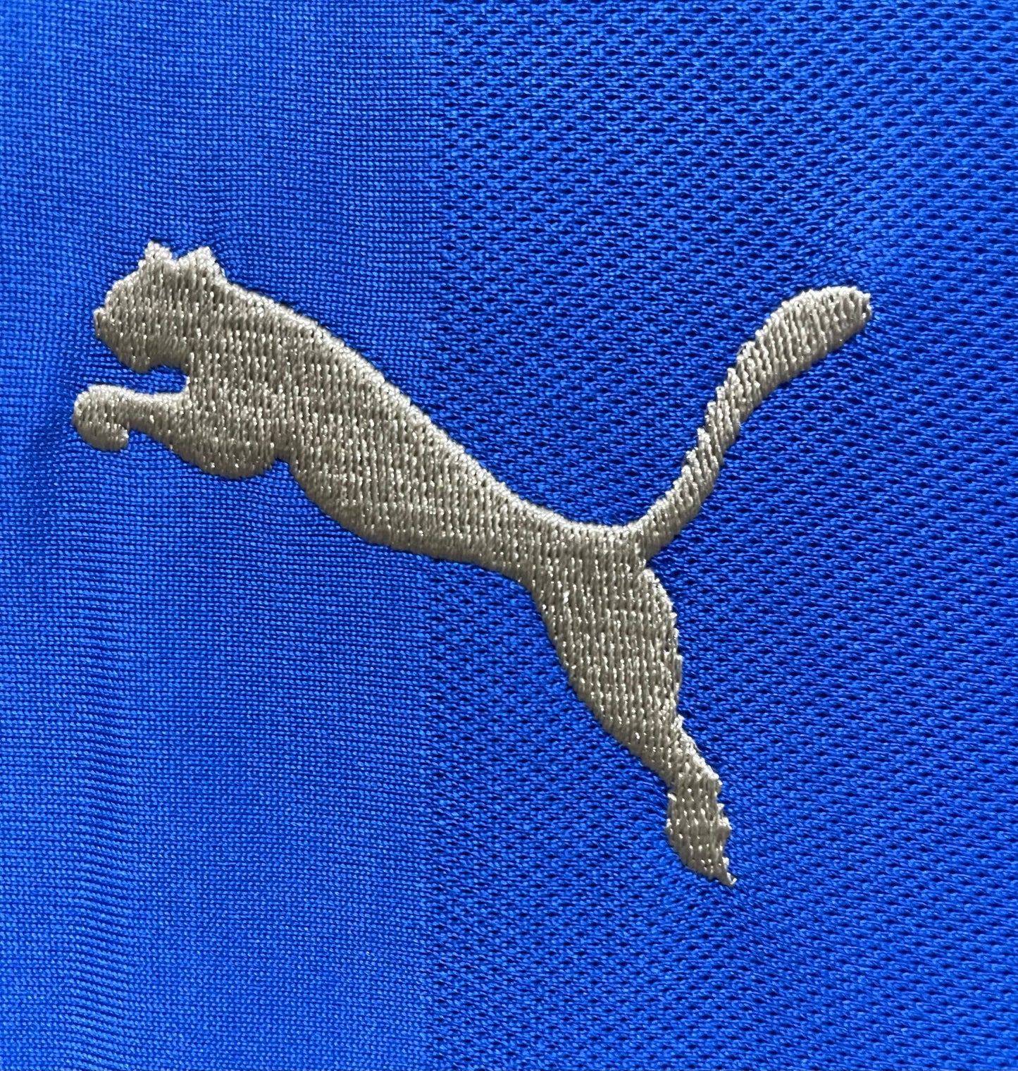 Maillot Rétro Homme Leicester City Domicile - 2015/2016