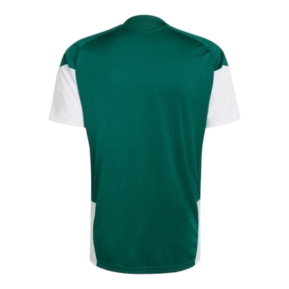 Camiseta Hombre Entrenamiento Selección Nacional de Italia Verde - 26/27