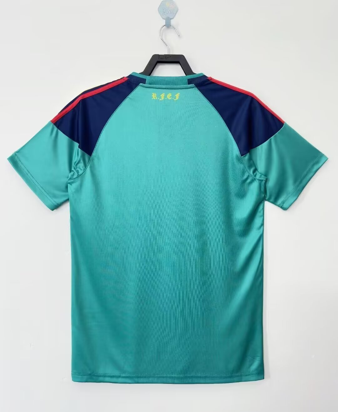 Man's Retro Jersey Spain National Team Green GK - 2010