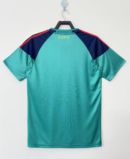 Man's Retro Jersey Spain National Team Green GK - 2010