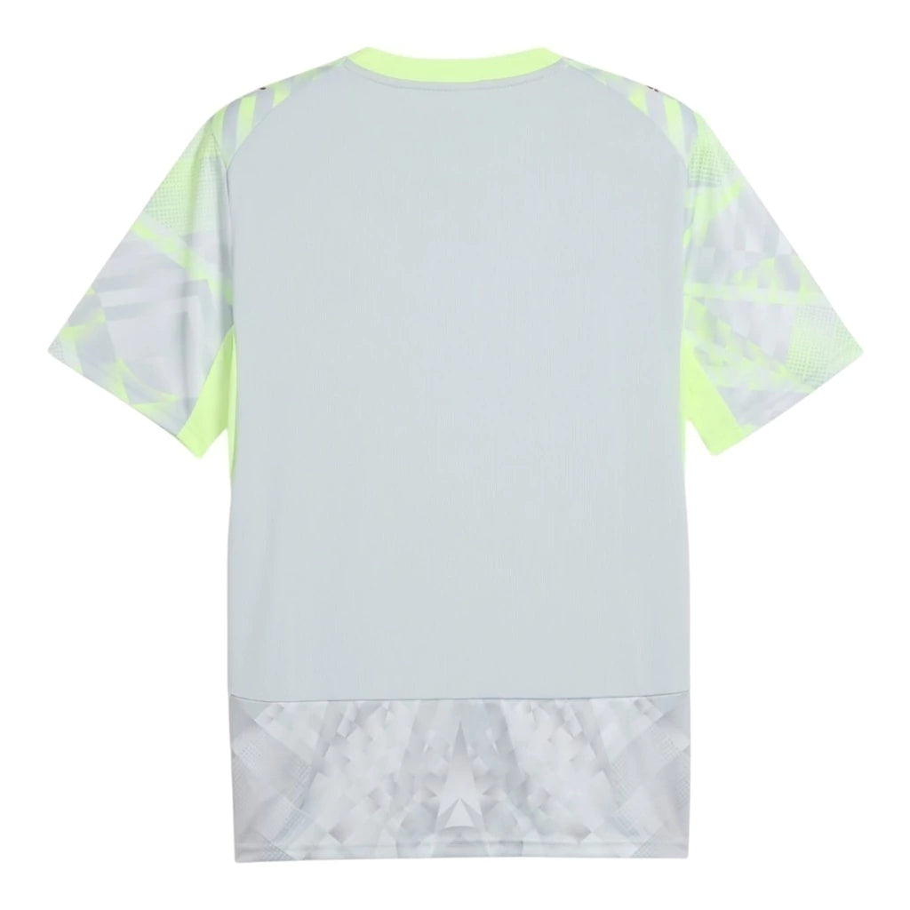 Man's Jersey Portugal National Team GK Grey - 26/27