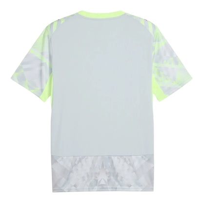 Man's Jersey Portugal National Team GK Grey - 26/27