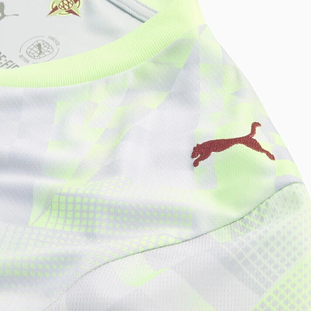 Man's Jersey Portugal National Team GK Grey - 26/27